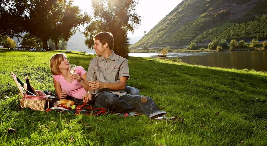 Cochem: Bike and Boat Tour with Picnic and Wine Tasting - Bikes, distance, and comfort