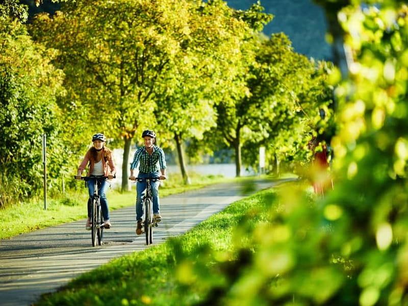 Cochem: Bike and Boat Tour with Picnic and Wine Tasting - Why this Moselle day works so well