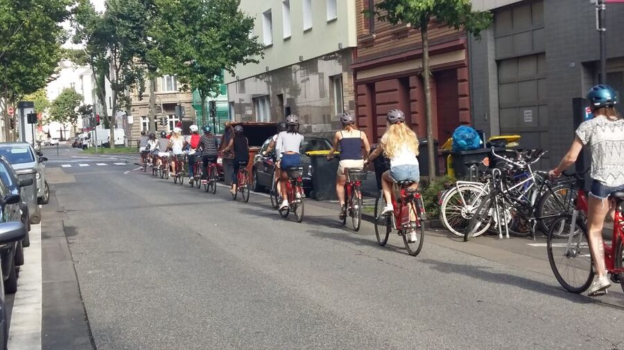 Cologne: 3-Hour Guided Bike Tour - Cologne Cathedral, Museum Ludwig, and the old center