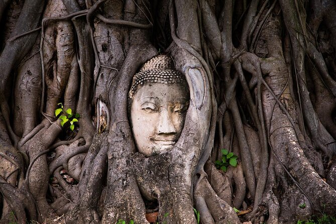Colors of Ayutthaya Full-Day Bike Tour - Key points at a glance