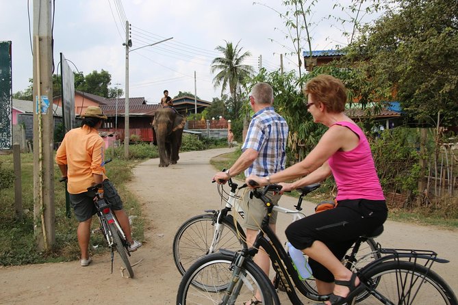Colors of Ayutthaya Full-Day Bike Tour - Wat Phra Sri Sanphet and the old royal center