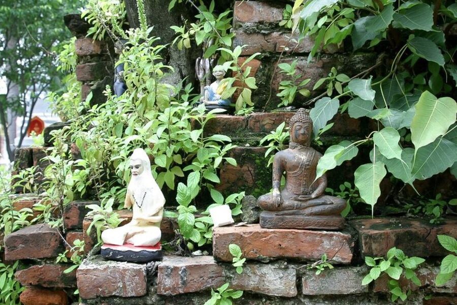 Colors Of Bangkok: 4-Hour Small Group Bike Tour - Bang Krachao, Bangkok’s green lung