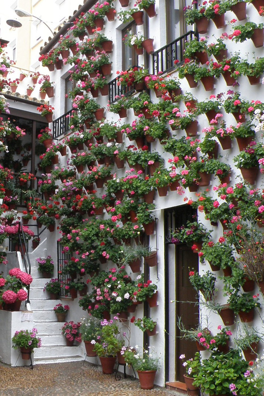 Cordoba Courtyards by Bike, Electric Bike - Why Cordoba’s patios are worth seeing by bike