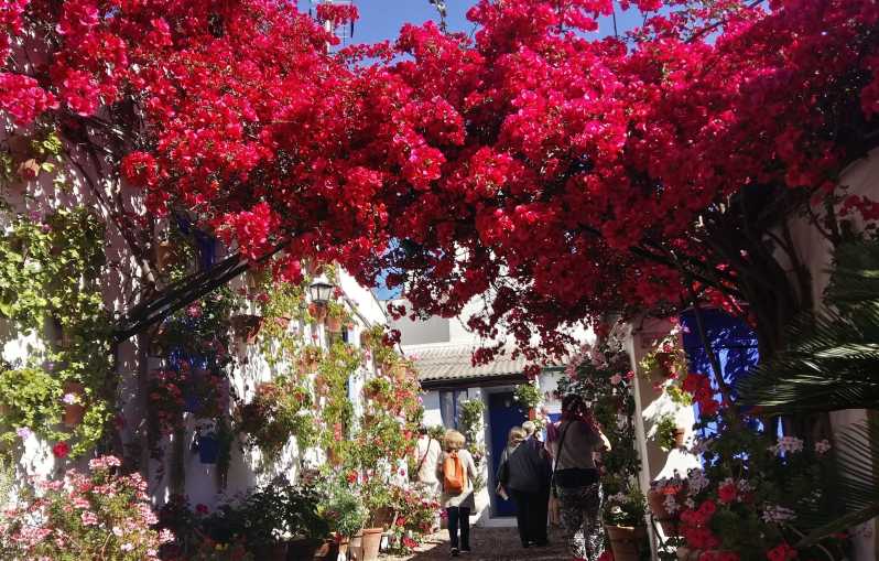 Cordoba Courtyards by Bike, Electric Bike - Riding through Cordoba between the patios