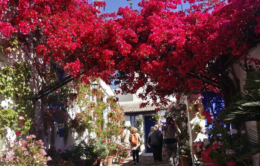 Cordoba Courtyards by Bike, Electric Bike - Four courtyards, four ways to see the tradition