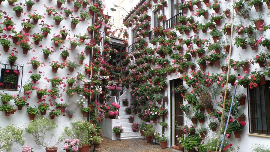 Cordoba Courtyards by Bike, Electric Bike - Is $46 a fair price?