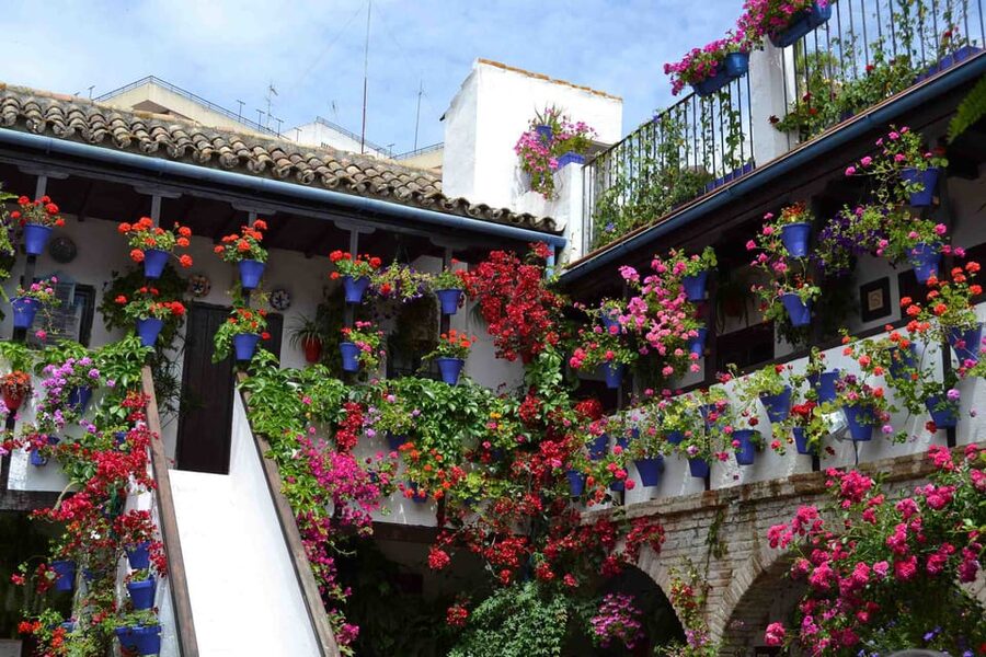 Cordoba Courtyards by Bike, Electric Bike - Who should book this patio ride?