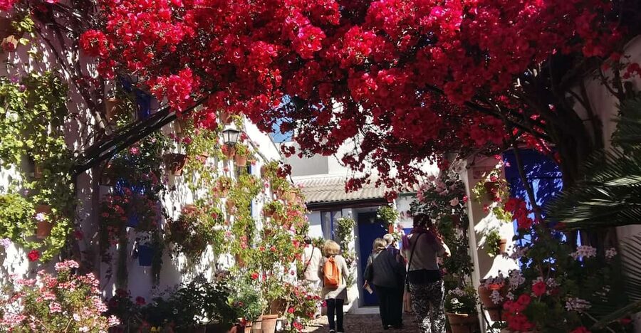 Cordoba Courtyards by Bike, Electric Bike - Starting at Elektrik Bikes on Calle Maria Cristina 5