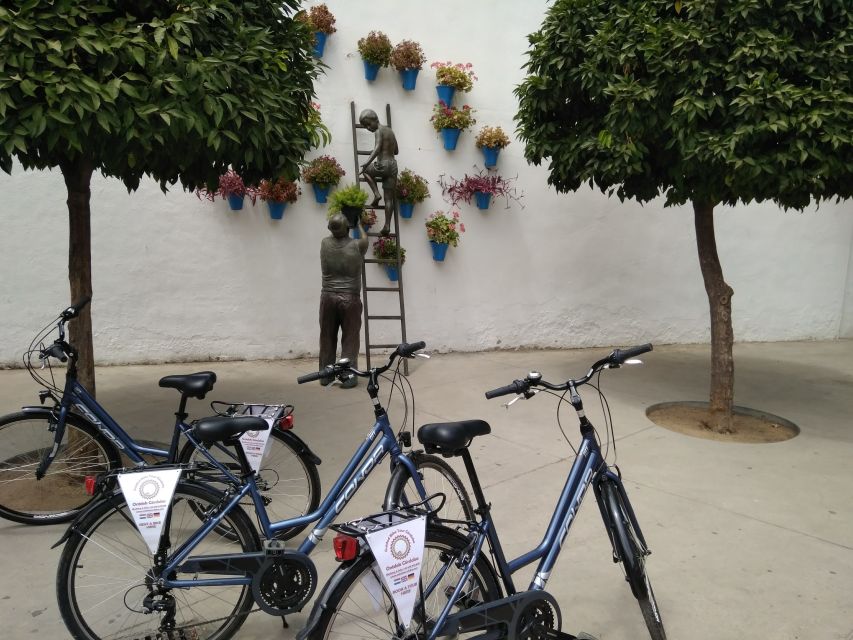 Córdoba Daily Highlights Bike Tour - Rolling through the Jewish quarter and patios