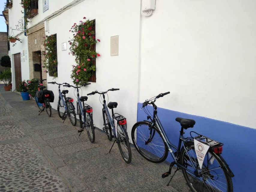 Córdoba Daily Highlights Bike Tour - Churches, statues, and northern Córdoba