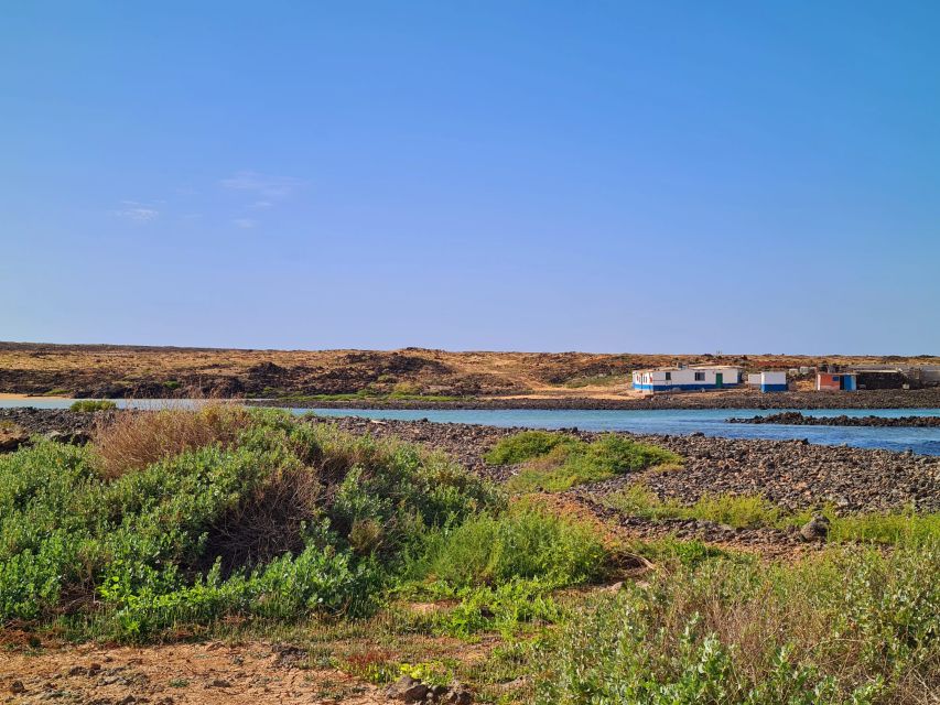 Corralejo: E-Bike Rental with Map to Popcorn Beach - A pause in Majanicho