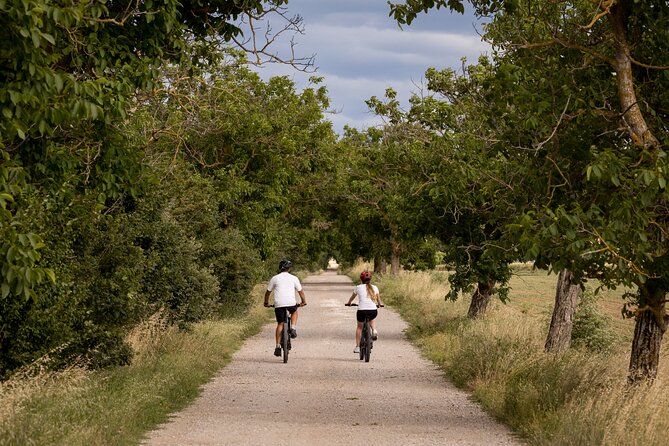 Cortona - eBike tour and wine tasting in the Val di Chiana [+40€] - Timing, group size, and practical planning