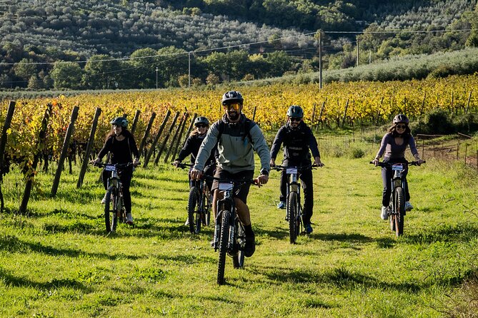 Cortona - eBike tour and wine tasting in the Val di Chiana [+40€] - Weather, cancellation, and value
