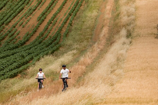 Cortona - eBike tour and wine tasting in the Val di Chiana [+40€] - Should you book the Cortona eBike tour?