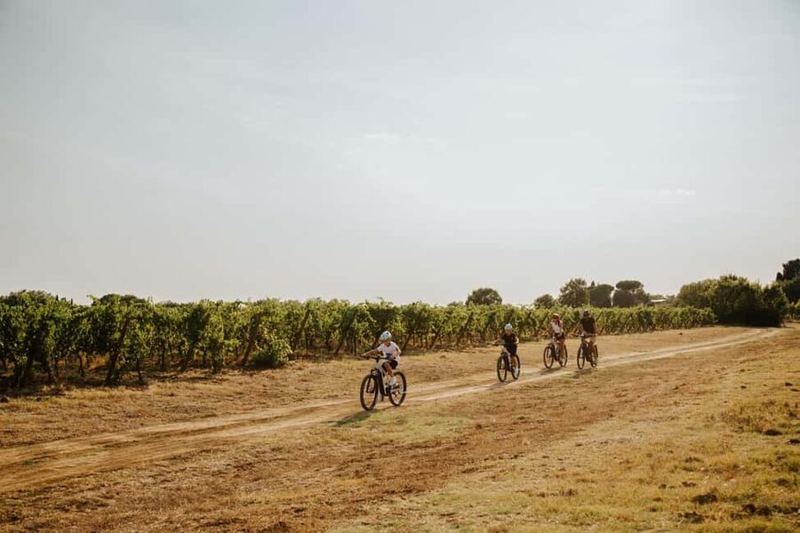Cortona: Val di Chiana E-Bike Tour with Optional Wine Lunch - The optional winery tasting and light lunch