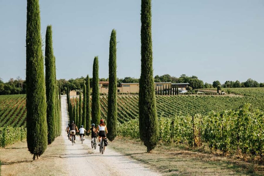 Cortona: Val di Chiana E-Bike Tour with Optional Wine Lunch - Who should book this Cortona e-bike tour?
