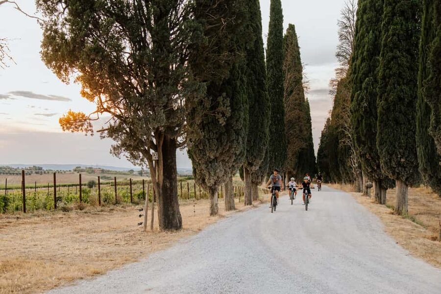Cortona: Val di Chiana E-Bike Tour with Optional Wine Lunch - FAQ