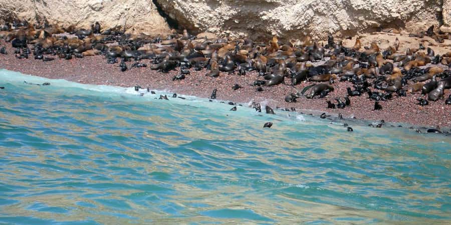 Costa Calma: Coast2Coast E-Bike Adventure - Returning through dunes and golden volcanic scenery