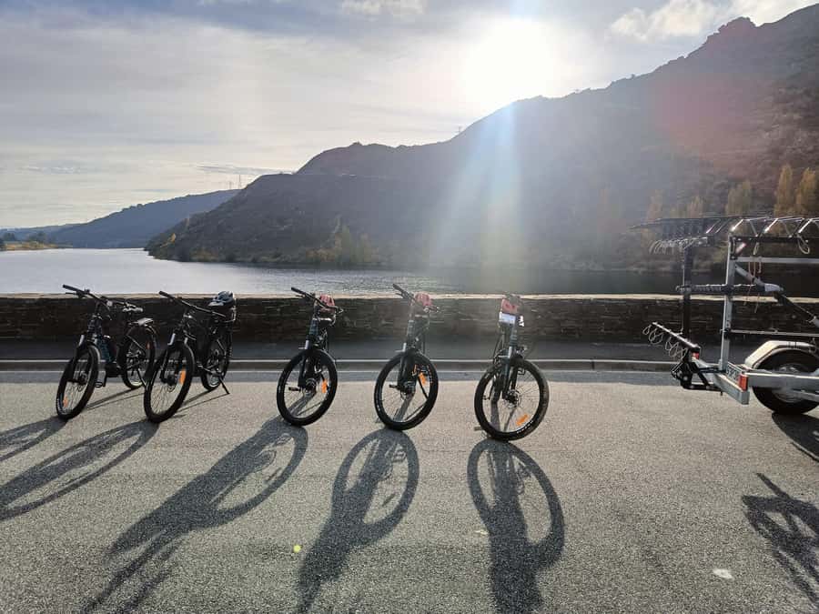 Cromwell: Lake Dunstan Trail Bike Rental and Luxury Shuttle - Choosing the right bike for 42km