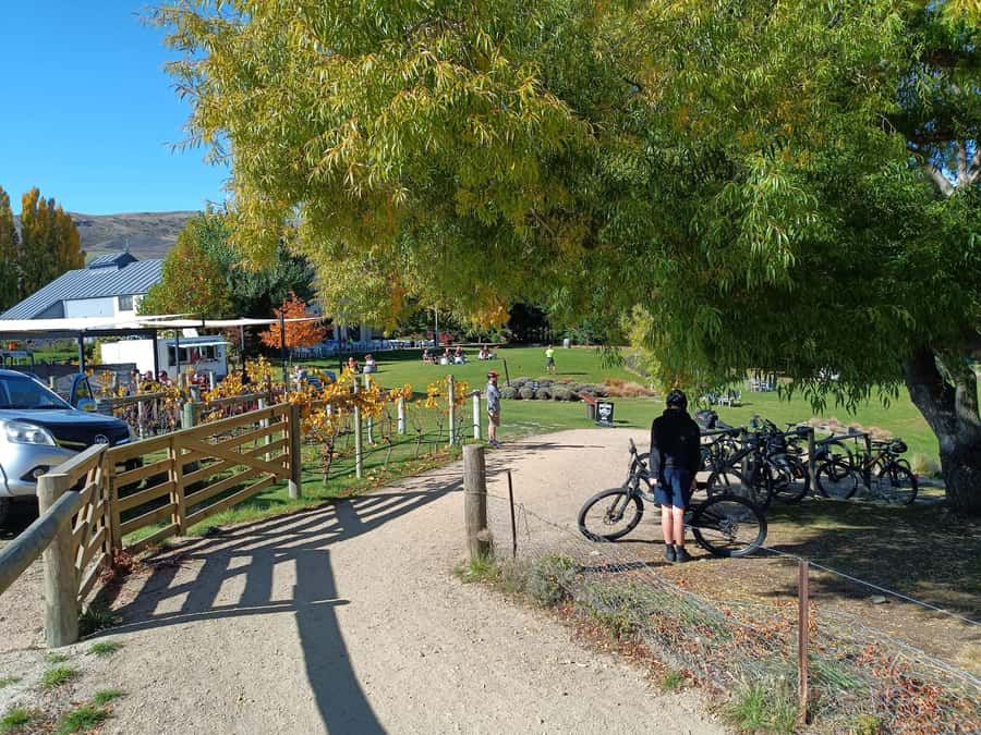 Cromwell: Lake Dunstan Trail Bike Rental and Luxury Shuttle - The first stretch from Cromwell