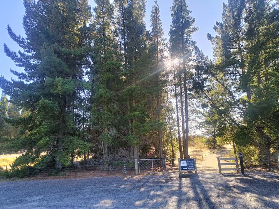 Cromwell: Lake Dunstan Trail Bike Rental and Luxury Shuttle - Carrick Winery and other useful breaks