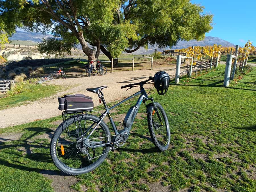 Cromwell: Lake Dunstan Trail Bike Rental and Luxury Shuttle - Arriving in Clyde and riding back in comfort