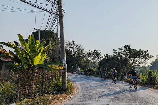 Customs and Culture Half Day Walk and Bike Tour in Battambang - A Buddhist temple and a conversation with a young monk