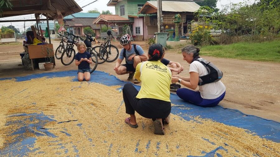 Cycling Sukhothai Full Day Countryside Tour - What the guide adds to the ride