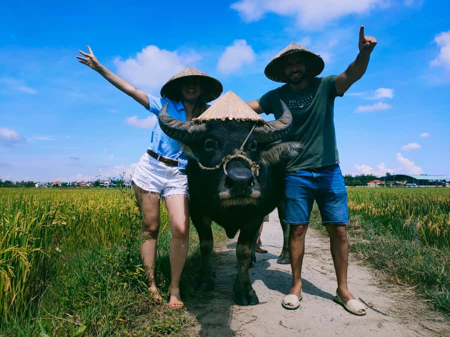 Cycling, Water Buffalo Riding, Traditional Farming Life - Key points to know before you book