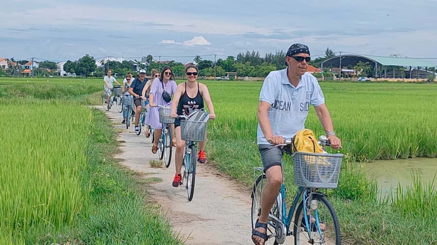 Cycling, Water Buffalo Riding, Traditional Farming Life - Working beside local rice farmers