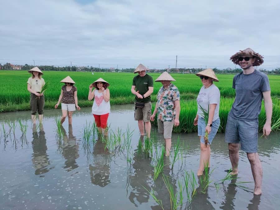 Cycling, Water Buffalo Riding, Traditional Farming Life - Paddling through Cam Thanh’s water-palm waterways