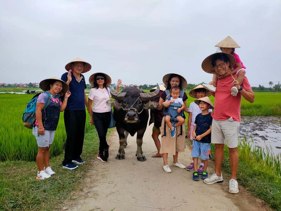 Cycling, Water Buffalo Riding, Traditional Farming Life - What the guide adds to the day