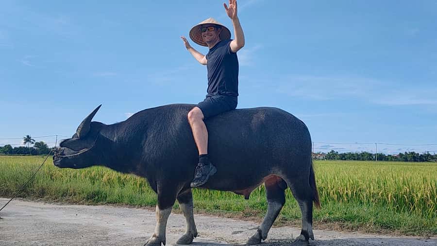 Cycling, Water Buffalo Riding, Traditional Farming Life - Cycling out from Hoi An to Cam Thanh