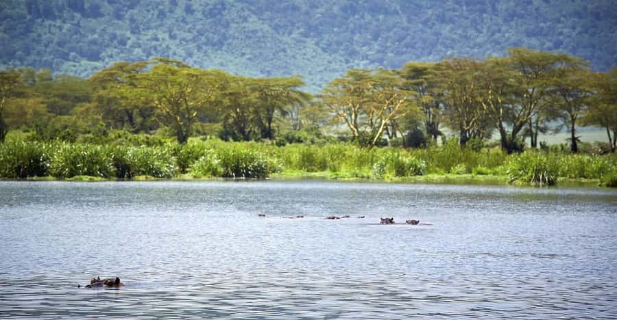 Day Trip: Hell's Gate Bike Ride & Lake Naivasha Boat Ride - Lunch near the park, with a clear eye on the bill