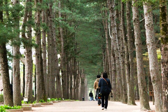 Day Trip to Nami Island with Rail bike and The Garden of Morning Calm - Three countryside stops beyond Seoul