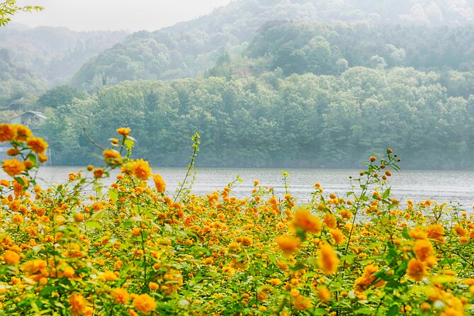 Day Trip to Nami Island with Rail bike and The Garden of Morning Calm - The guide can make or break the schedule