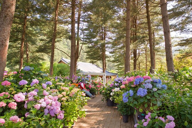 Day Trip to Nami Island with Rail bike and The Garden of Morning Calm - What the 11 to 12 hours really means