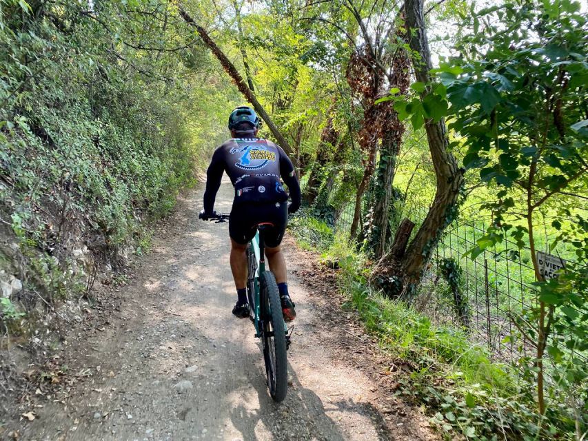 Desenzano: e-Bike Tour with Wine Tasting - Key points to know before you book