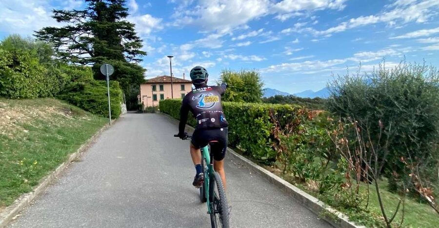 Desenzano: e-Bike Tour with Wine Tasting - The view between vineyards and olive trees