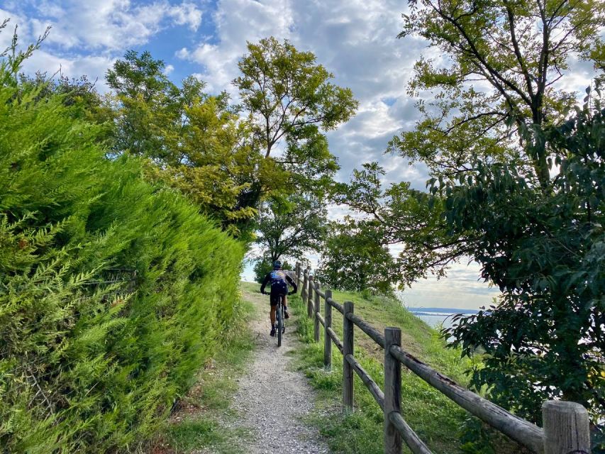 Desenzano: e-Bike Tour with Wine Tasting - Who should book this Desenzano e-bike tour?