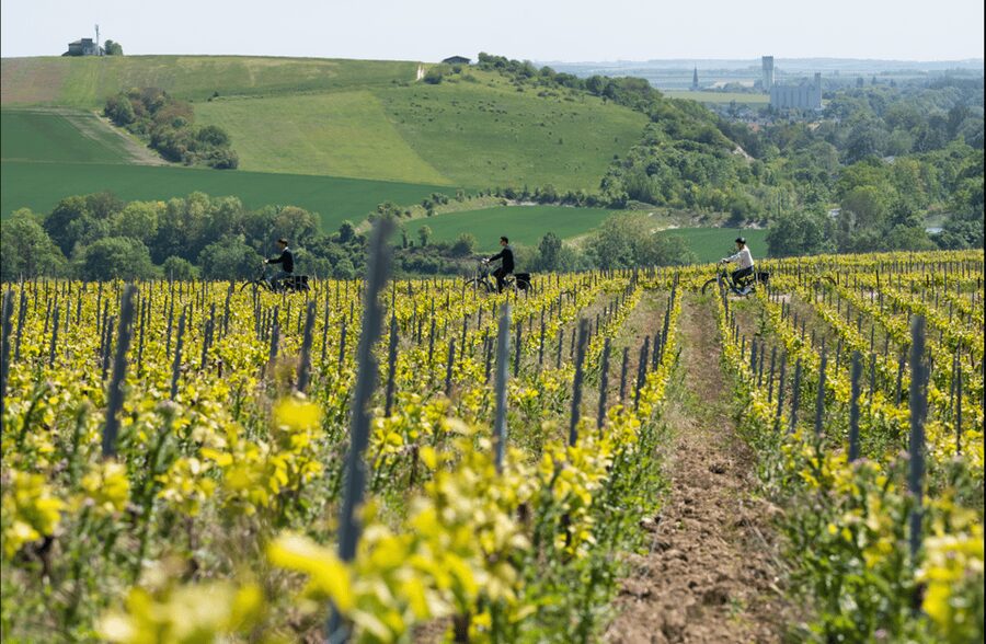 Dijon/Beaune: Full day Ebike Burgundy tour, tastings & lunch - Why this is a good way to see Burgundy