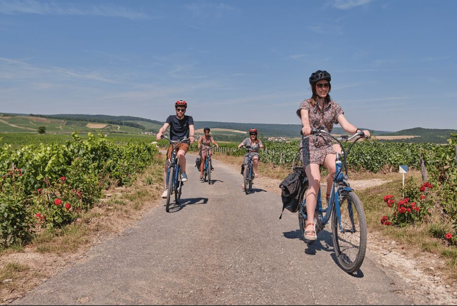 Dijon/Beaune: Full day Ebike Burgundy tour, tastings & lunch - The comparative tasting comes first