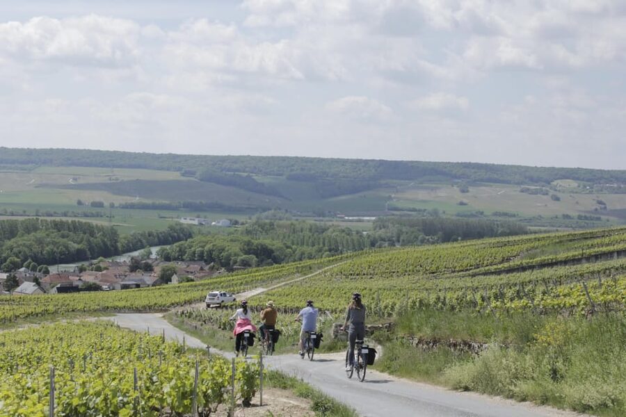 Dijon/Beaune: Full day Ebike Burgundy tour, tastings & lunch - The family-run winery visit