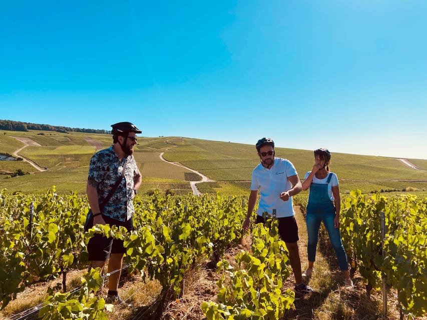 Dijon/Beaune: Full day Ebike Burgundy tour, tastings & lunch - Who should book this tour