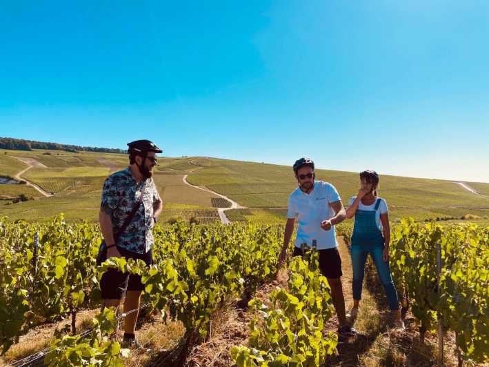 Dijon/Beaune: Full day Ebike Burgundy tour, tastings & lunch - From Dijon or Beaune to the vineyards
