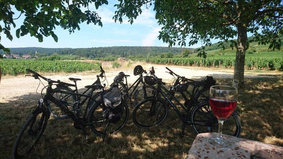 Dijon: Half-Day Guided Gourmet Bike Tour - Riding out from Chenôve into Burgundy wine country