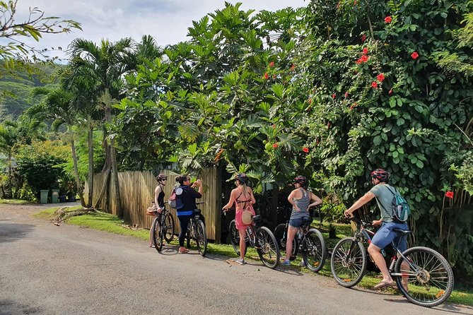 'Discover' Rarotonga Cycling Tour with Lunch - What makes this Rarotonga bike tour worth considering