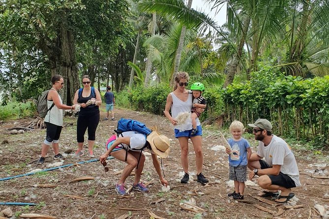 'Discover' Rarotonga Cycling Tour with Lunch - Local fruit, coconut husking, and stories between the stops