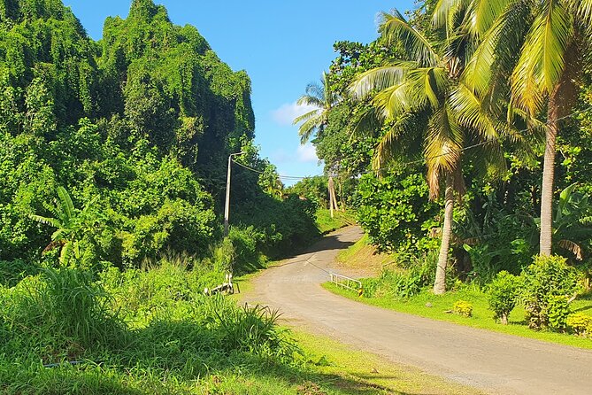 'Discover' Rarotonga Cycling Tour with Lunch - Three hours on the bike, at a comfortable pace