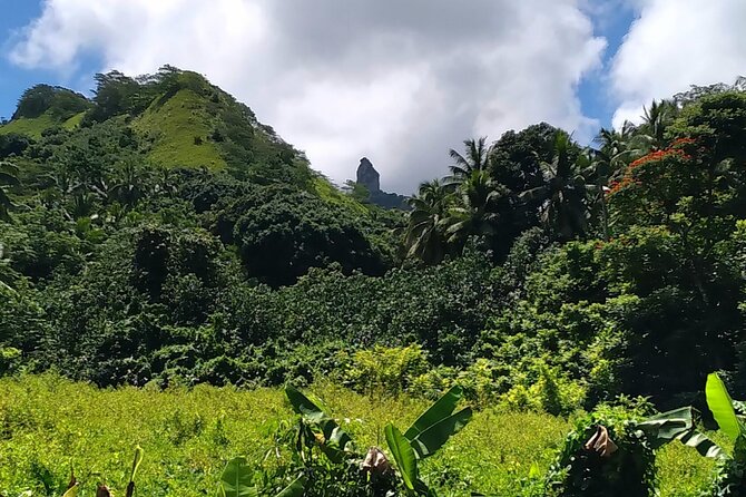 'Discover' Rarotonga Cycling Tour with Lunch - Should you book the Discover Rarotonga Cycling Tour?